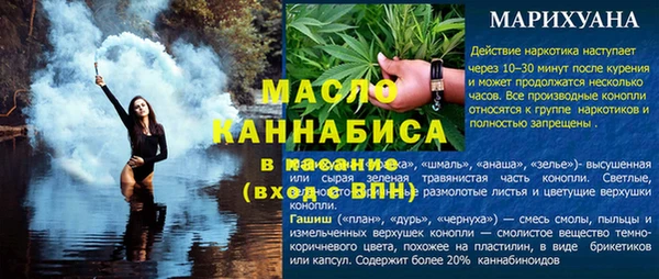 прущие грибы Надым